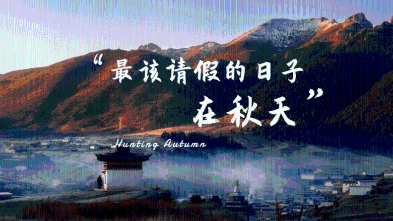 夏季热带海滩逃生