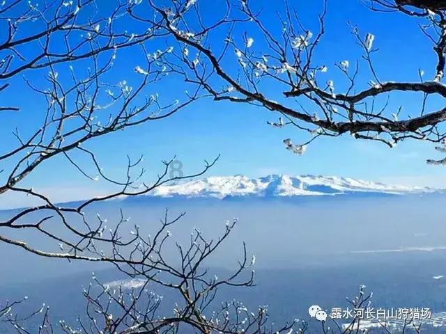 外星球体进黑洞